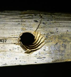 40,000 y old rope-making tool, grooves, Hohle Fels cave, Germany